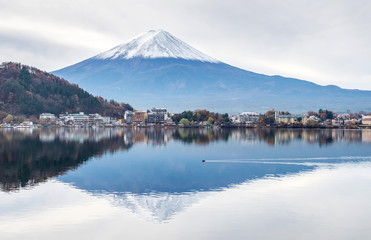 Fuji mountain under cloudy sky with duck