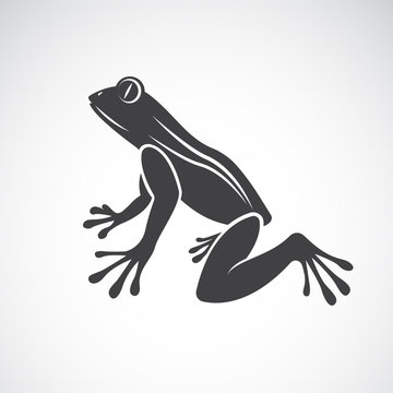 Vector image of a frog design on white background