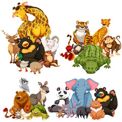 Four group of wild animals © blueringmedia