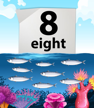 Number eight and eight fish swimming underwater