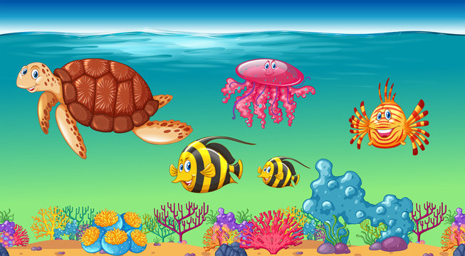 Sea animals swimming under the sea