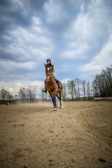 Woman Practicing on Hunter Jumper Horse in Ring