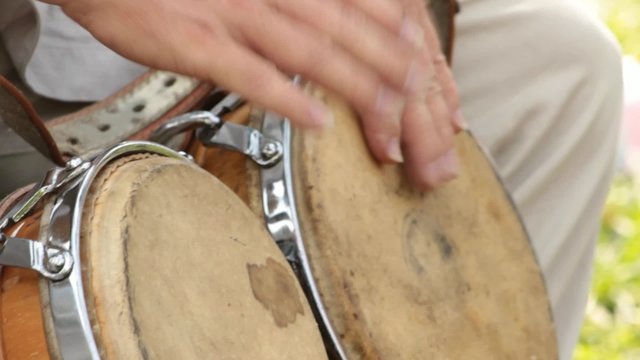 Drummer Playing Bongo Drums