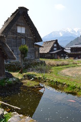 Fototapeta na wymiar Shirakawa-go historic village