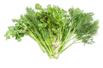 Bundle of dill, coriander and parsley on a light background