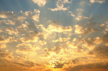 The sun rise in the morning