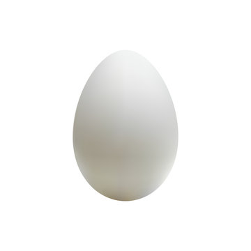 Vector white egg