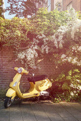 Fototapeta premium Yellow scooter parked