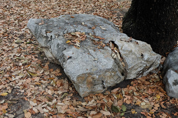 Big stone on ground in the garden