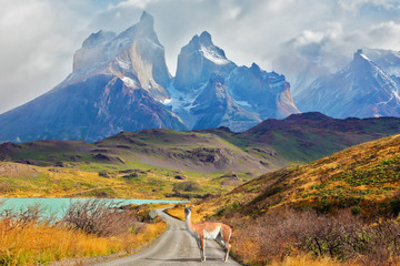 Naklejka premium Majestatyczny dzień w Patagonii