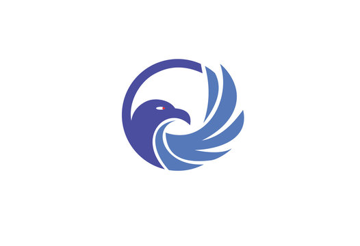head falcon mascot logo
