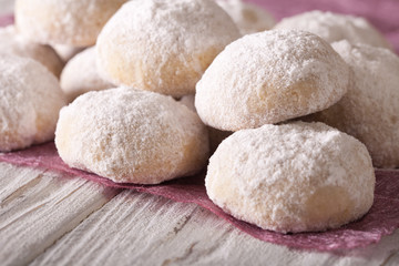Fototapeta na wymiar shortbread with powdered sugar close-up on a table. horizontal 