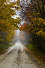 the view down a scenic country roadway in autumn landscape