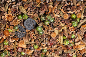 Dry Vegetables