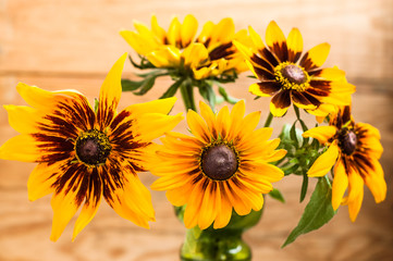 Obraz premium Summer flowers of rudbeckia backgrounds