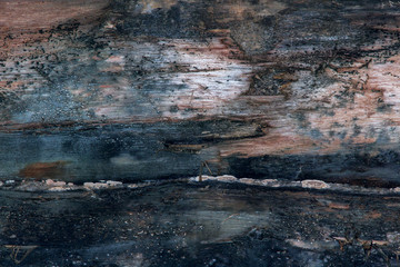Texture of old wood