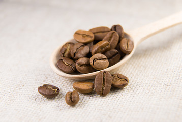 Many roasted coffee beans in the spoon