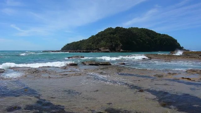 Landscape of Goat Island beach located in the East Coast of the North Island of New Zealand.