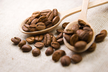 Many roasted coffee beans in the spoon