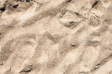 Background texture of sandy beach with traces.