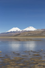 The Sajama National Park in Ranger of Bolivia-