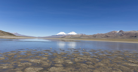 The Sajama National Park in Ranger of Bolivia-