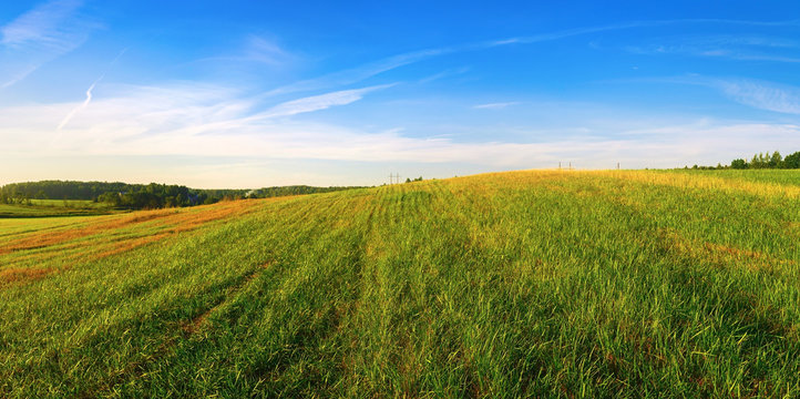 Panoramic landscape with field of green grass and blue sky. Summer sunny day in the countryside. © Veresovich