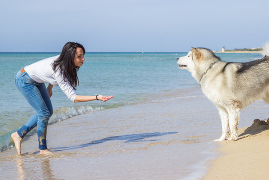 Girl playing with her dog in sea water