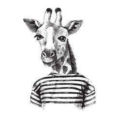 Fototapeta premium Hand drawn Illustration of giraffe hipster