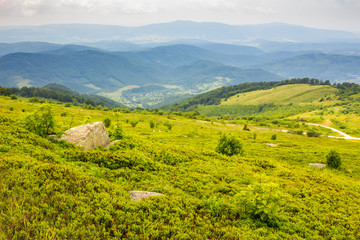 Obraz premium village on hillside meadow with forest in mountain
