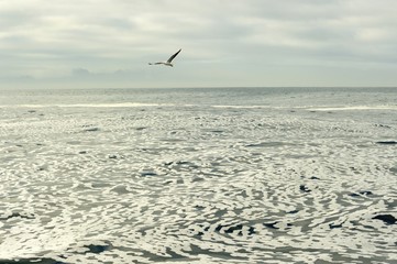 White foam on an  still ocean water surface. South Africa