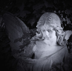 Vintage image of a sad angel on a cemetery against the backgrou