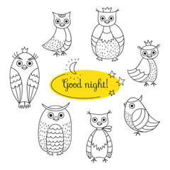 Set with owls