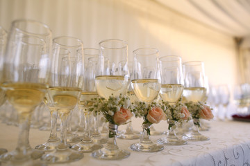 Many glasses of champagne on table