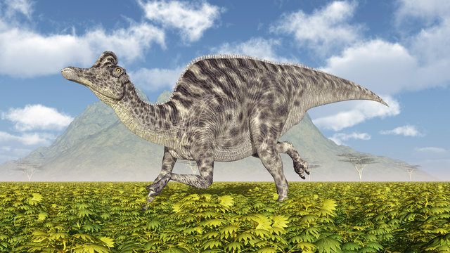 Dinosaur Velafrons