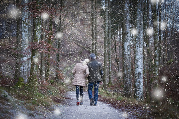 Fototapeta premium A Couple in the Forest on a snowing day