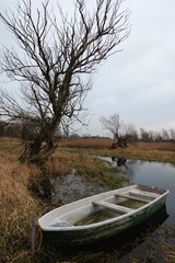Boat at Havel river