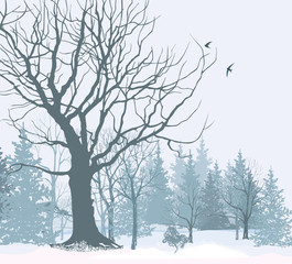 Fototapeta na wymiar Snowy forest background. Tree without leaves over snow. Winter park or garden. Christmas snow landscape wallpaper.