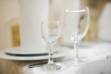table setting with plate and wineglass or glass