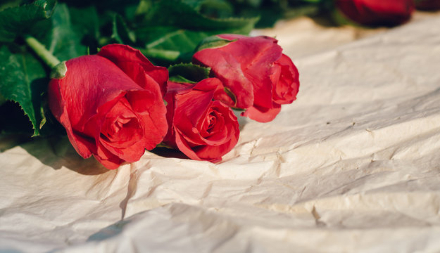 Red roses close up on old Blurred background paper