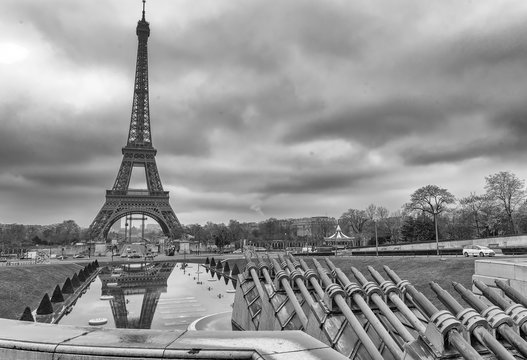 Fototapeta Black and white view of Eiffel Tower in Paris, France