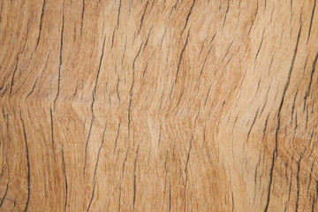 Wood Background Texture
