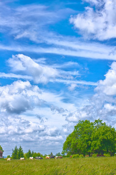 Funny clouds over green meadow