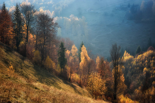Foggy and sunny day of a autumn, on wild transylvania hills. Holbav. Romania. Low key, dark background, spot lighting, and rich Old Masters