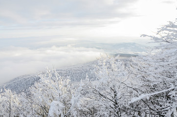 Fototapeta na wymiar Neve