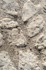 pavimento in pietra, Belvedere Piazza duomo,Fara in Sabina, Italia, foto verticale