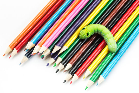 Green worm on crayons