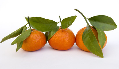 tangerine or mandarin