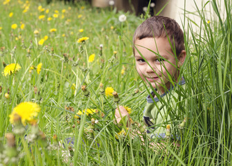 Child in grass on meadow