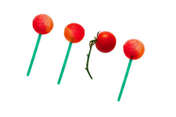 cherry tomato lollipop. red lollipops and cherry tomatoes on a branch lying in a row. unusual in the usual. metaphor of wishful thinking. the concept of food porn. Isolated on white background